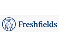 Freshfields Bruckhaus Designer