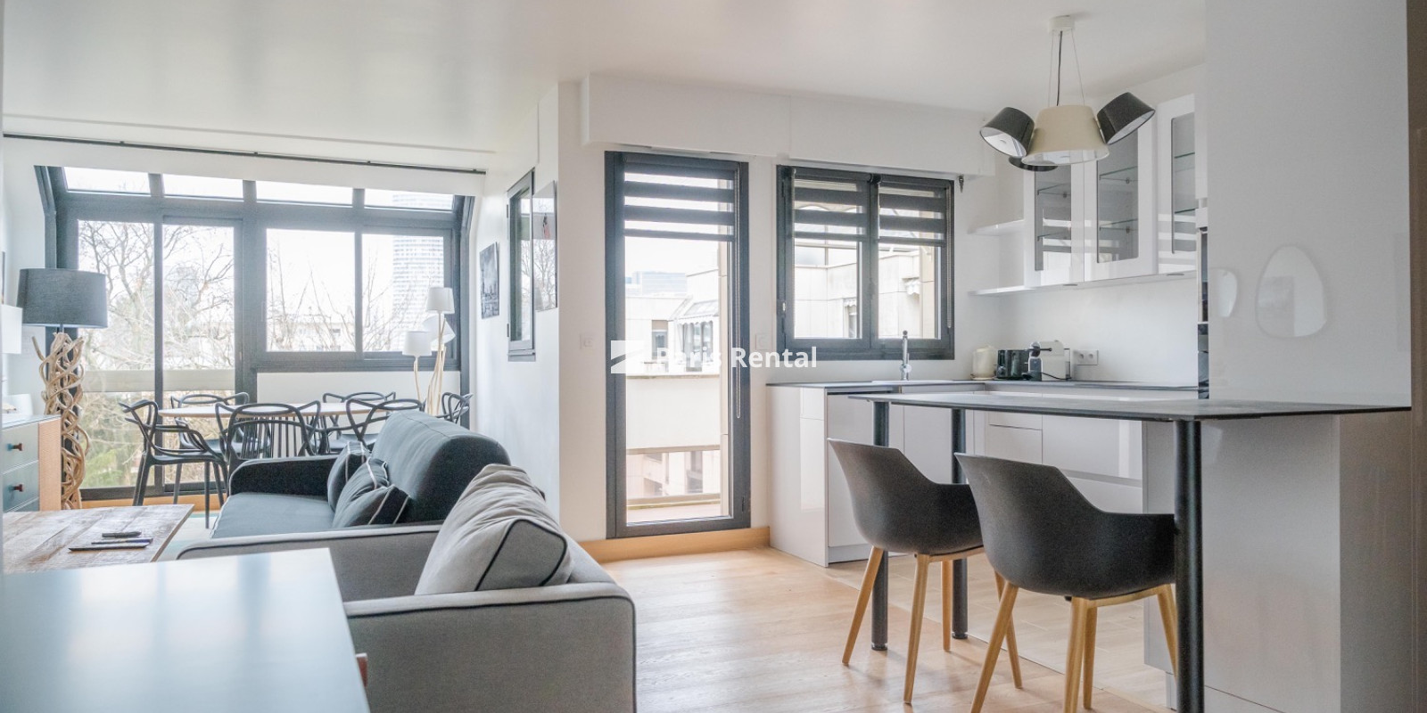 Salon - Salle à manger - 
    NEUILLY SUR SEINE
  Neuilly-sur-Seine, NEUILLY SUR SEINE 92200
